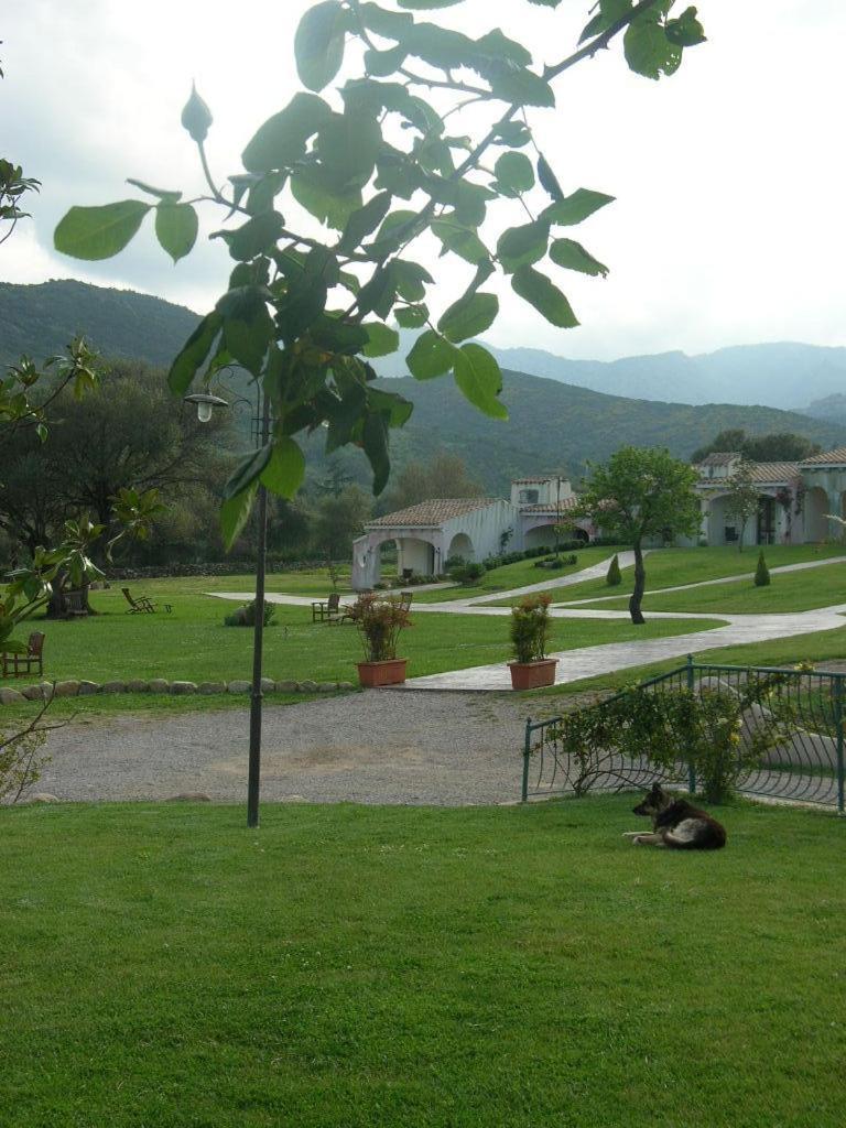 Tenuta Le Terre 1927 ξενώνας San Teodoro  Εξωτερικό φωτογραφία