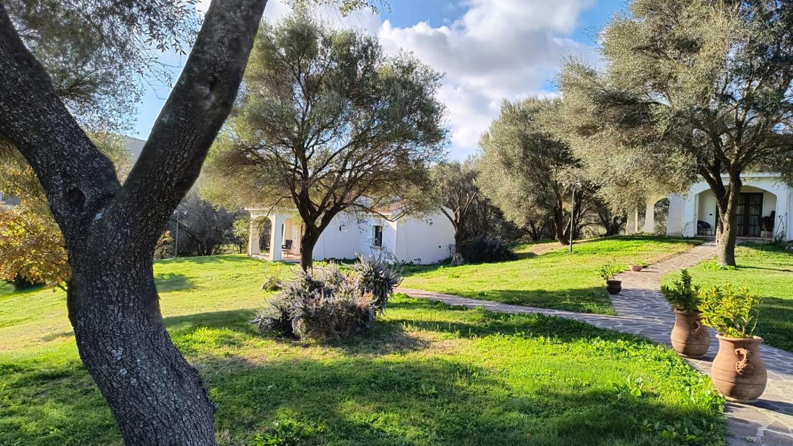 Tenuta Le Terre 1927 ξενώνας San Teodoro  Εξωτερικό φωτογραφία