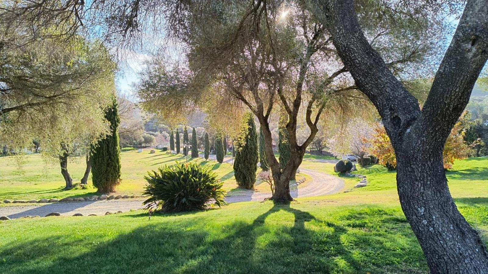 Tenuta Le Terre 1927 ξενώνας San Teodoro  Εξωτερικό φωτογραφία